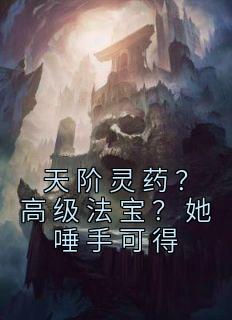 天阶灵药?高级法宝?她唾手可得