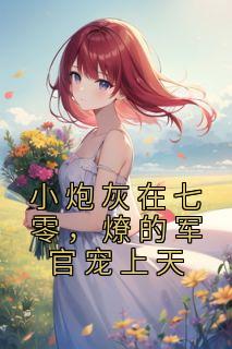 《小炮灰在七零，燎的军官宠上天》小说章节免费试读 苏茉陆长征小说阅读