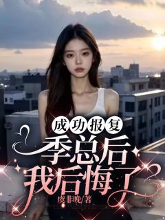 《成功报复季总后，我后悔了》小说章节列表在线阅读 南千悦季云骁小说全文