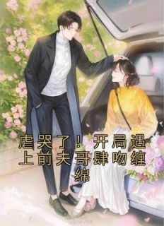 [虐哭了！开局遇上前夫哥肆吻缠绵林昼田恬顾霄小说全文章节目录在线阅读