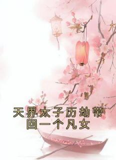 《天界太子历劫带回一个凡女》小说章节目录精彩试读 凤翎梧生许轻轻小说阅读