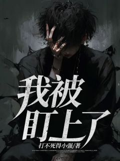 《我被盯上了》小说章节精彩阅读 杨琛沈雪梅小说阅读