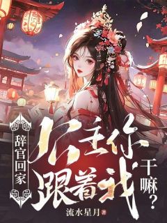 精品《辞官回家,公主你跟着我干嘛?》小说免费试读 陆玉飞安平小说全集无删减全文