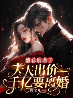 盛总别虐了,夫人出价一千亿要离婚by沈颖汐盛淮渊精彩章节 沈颖汐盛淮渊小说全集免费试读