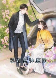 沈知意傅砚辞小说 沈知意傅砚辞沈知意钟庭月免费阅读