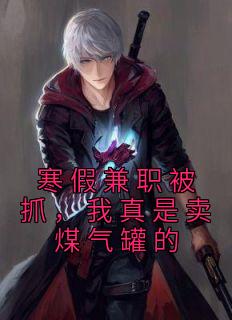 寒假兼职被抓,我真是卖煤气罐的