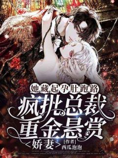 她藏起孕肚跑路，疯批总裁重金悬赏娇妻完整版全文阅读 乔软叶南吱小说 大结局