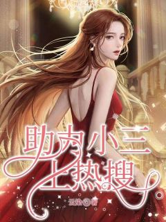 助力小三上热搜 江宁江成龙小说全文章节免费试读