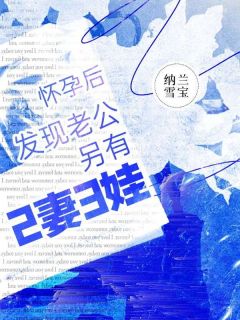 怀孕后,发现老公另有2妻3娃by纳兰雪宝 许念赵宇航在线阅读