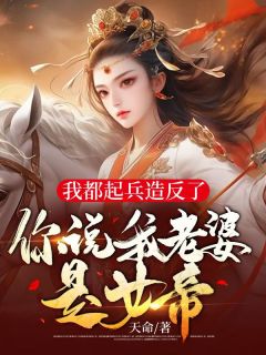 《我都起兵造反了，你说我老婆是女帝？》免费试读 叶苏姜雪颜小说章节目录