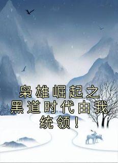《枭雄崛起之黑道时代由我统领！》小说阅读 雷震苏凤仪小说