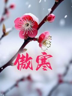 傲寒白林慕瑶展白小说精彩章节在线阅读