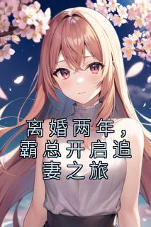 离婚两年,霸总开启追妻之旅