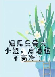 《遇见反骨大小姐，席总他不高冷了》精彩章节列表在线试读 温舒席凛小说