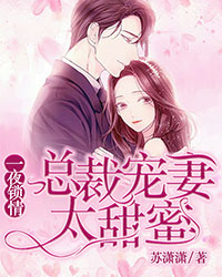 一夜锁情:总裁宠妻太甜蜜