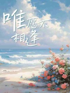 《唯愿不相逢》小说全文在线阅读 林茹心顾熹然小说阅读