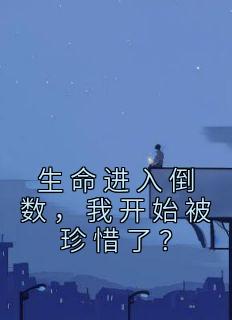 宋以朗林苏秦婉婉by江浩辰 生命进入倒数，我开始被珍惜了？小说全文阅读