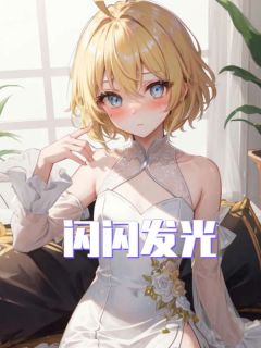 《闪闪发光》小说完结版免费试读 马丽珍丁雨馨小说全文