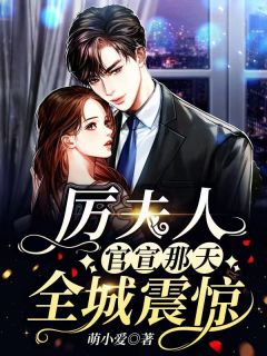 《厉夫人官宣那天，全城震惊》小说全文在线试读 苏诺厉璟小说阅读