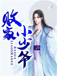 最新《败家小少爷》王康林语嫣小说免费试读全文章节