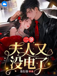 《二爷,夫人又没电了》小说完结版精彩试读 苏乔沈修瑾小说全文