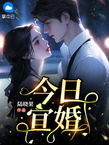 《今日宜婚》小说章节目录免费试读 安琪陆珺彦小说阅读