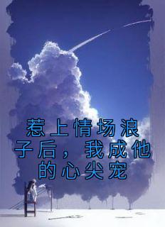 美文阅读《惹上情场浪子后,我成他的心尖宠》姜婉陆怀启全文精彩章节列表试读