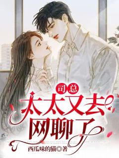 司总,太太又去网聊了完整版 颜夏司景怀全章节阅读