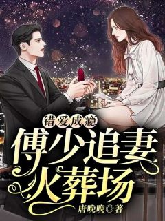 错爱成瘾:傅少追妻火葬场