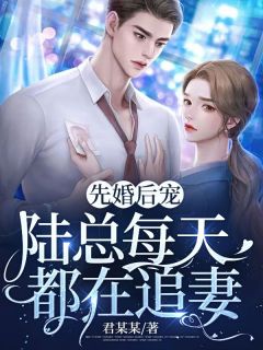 《先婚后宠：陆总每天都在追妻》小说章节列表精彩试读 夏时韵陆妄承小说全文