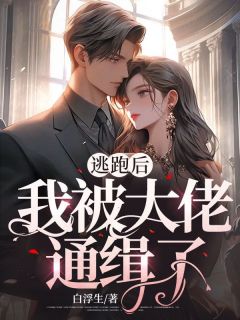 《逃跑后，我被大佬通缉了》小说大结局在线阅读 宋绾薄云卿小说全文