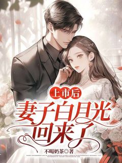 《上市后,妻子白月光回来了》小说全文在线试读 周时苏渺小说全文