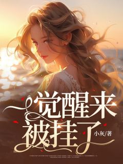 一觉醒来被挂了by小灰 叶清棠赵墨书章节目录