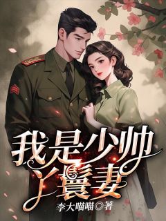 我是少帅的丫鬟妻豆蔻段庭啸庄菲小说全文章节目录免费试读