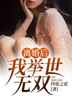 《离婚后，我举世无双》免费阅读 叶成峰秦姗姗小说免费试读