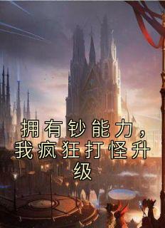 拥有钞能力,我疯狂打怪升级