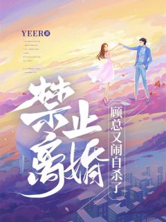 娇娇顾昀byYEER 禁止离婚,顾总又闹自杀了全文免费阅读