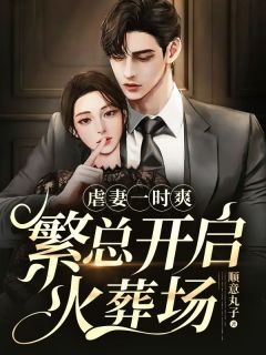 《虐妻一时爽，繁总开启火葬场》小说章节目录精彩阅读 繁居安王露恩小说阅读