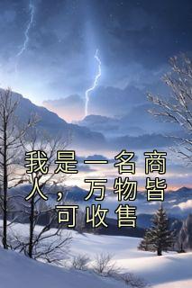 精品热文《我是一名商人，万物皆可收售》白枭李星小说全文精彩章节免费试读无删减