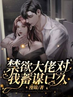 《禁欲大佬对我蓄谋已久》夏未曦沈律风小说精彩章节免费试读