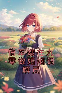 俏军嫂在九零做婚姻调解员