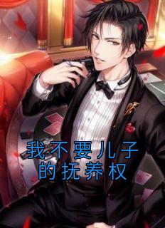 《我不要儿子的抚养权》小说阅读 江浩张华森张慧茹小说