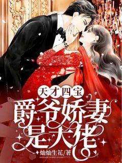 天才四宝:爵爷娇妻是大佬