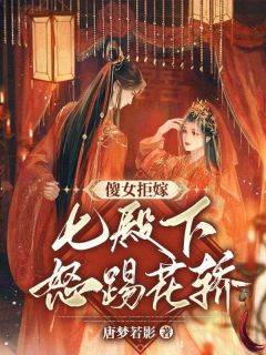 傻女拒嫁,七殿下怒踢花轿全集免费在线阅读(楚无忧轩辕容墨)