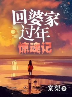 回婆家过年惊魂记by棠梨 何笙温舒小说阅读