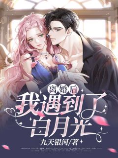 《离婚后，我遇到了白月光》小说全文在线阅读 《离婚后，我遇到了白月光》最新章节目录