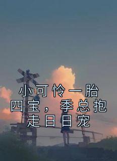 小可怜一胎四宝，季总抱走日日宠
