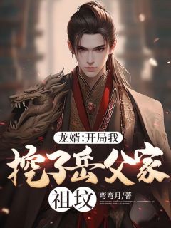 龙婿:开局我挖了岳父家祖坟陈天赐长乐小说全部章节目录