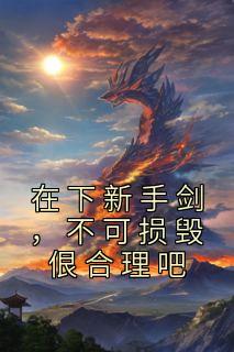 在下新手剑,不可损毁佷合理吧