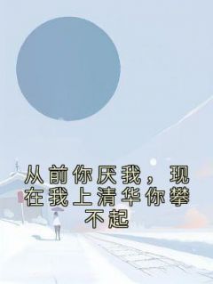 从前你厌我,现在我上清华你攀不起小说 林言欢舅舅在线阅读